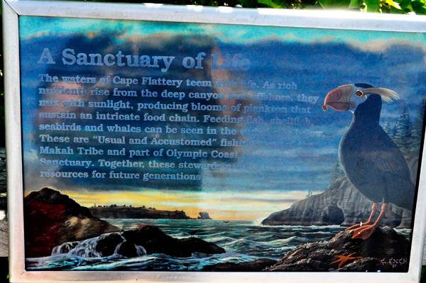 sign: sanctuary of Life