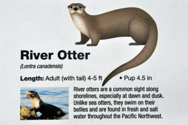 sign about the River Otter