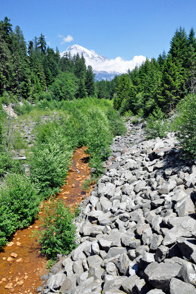 Kautz Creek in Rainier National Park