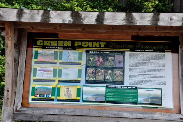 sign about Green Point and keeping it green