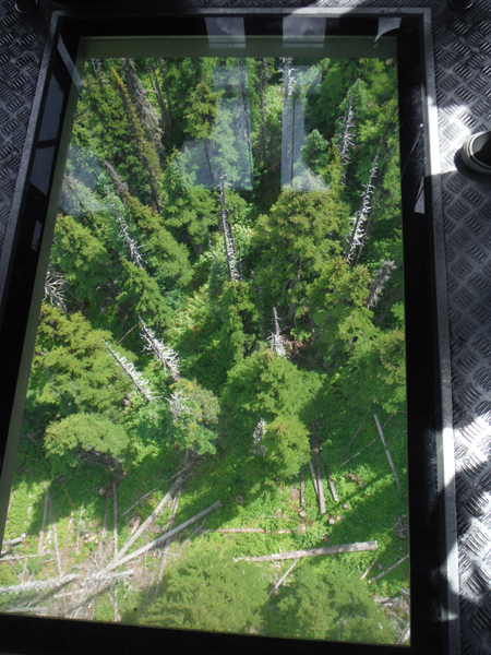 scenery through the glass bottom gondola