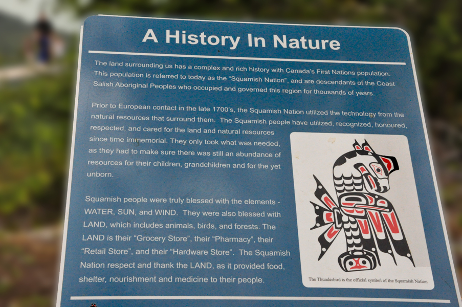 sign: a history in Nature