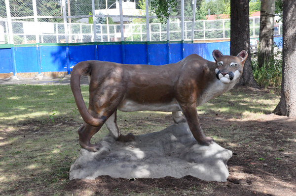 cougar statue