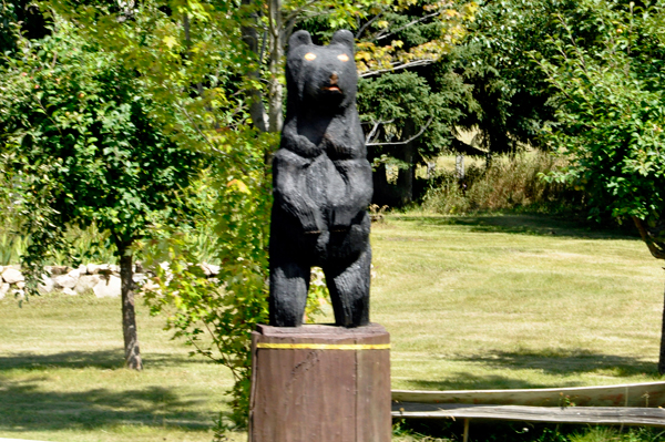 bear statue at campground