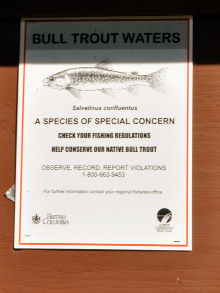 sign: Bull Trout Waters