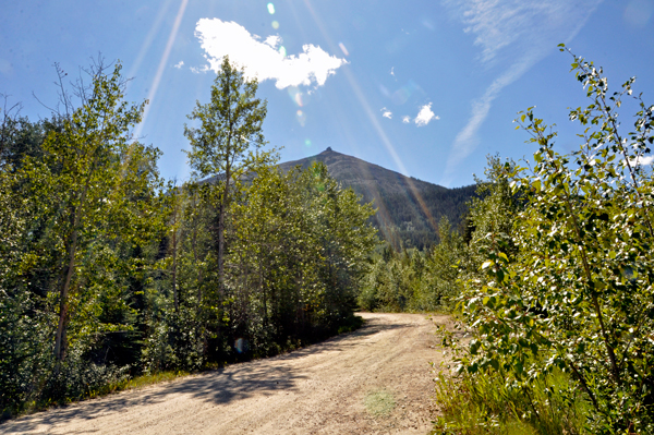 The road up to Jasper Tramway