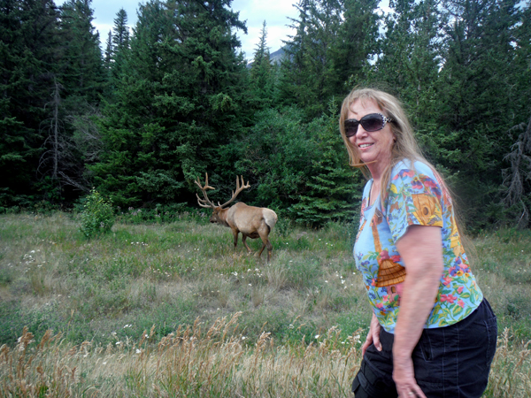 Karen at a safe distance from a retreating elk