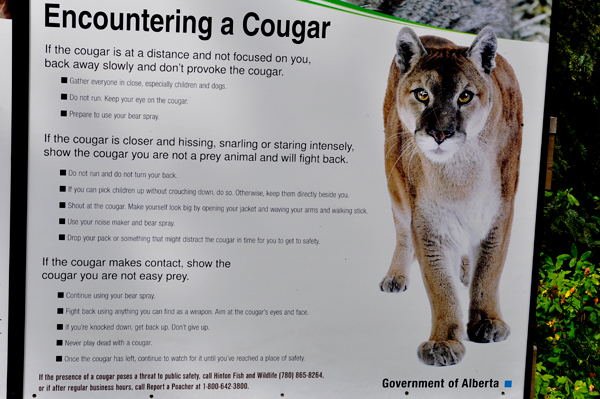 warning sign about cougars
