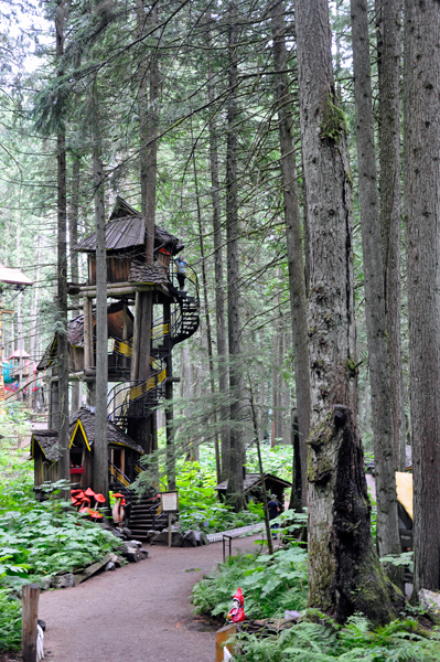 BC's tallest tree house