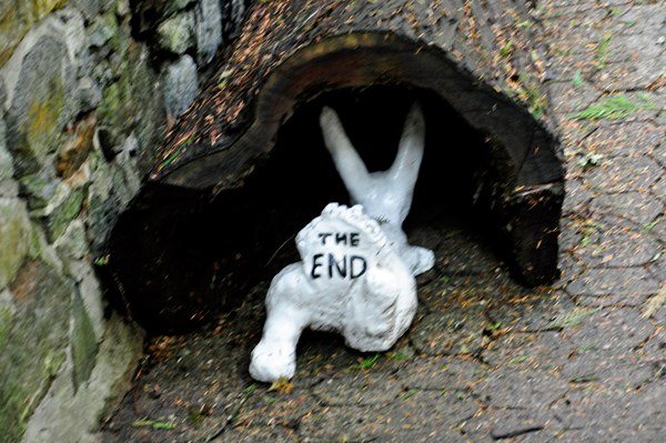 the rabbit's end