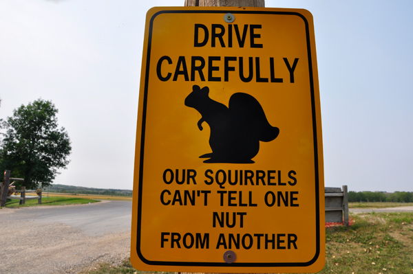 sign about squirrels and nuts