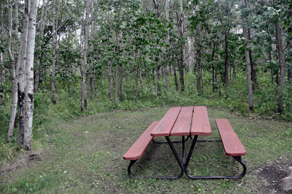 nice looking picnic table