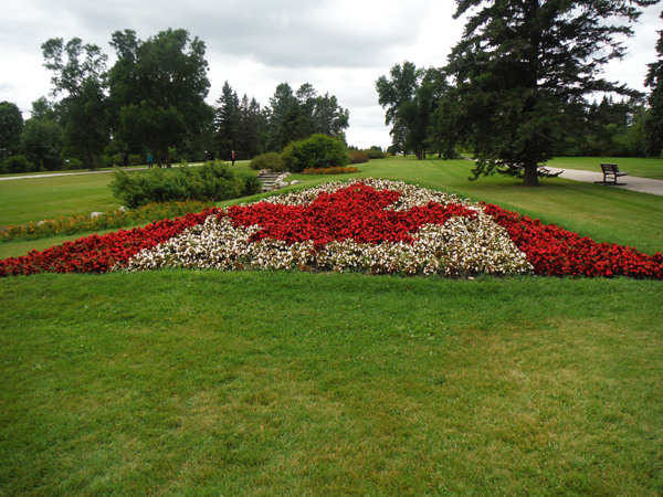 Canadian floral flag