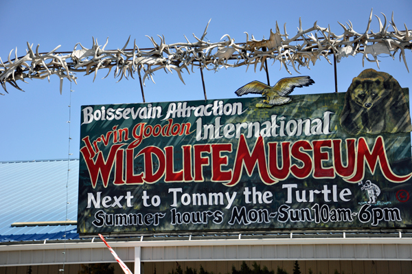 Wildlife Museum sign