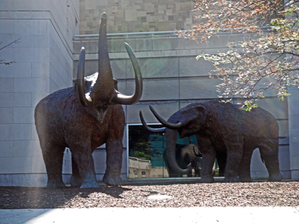 elephant statues