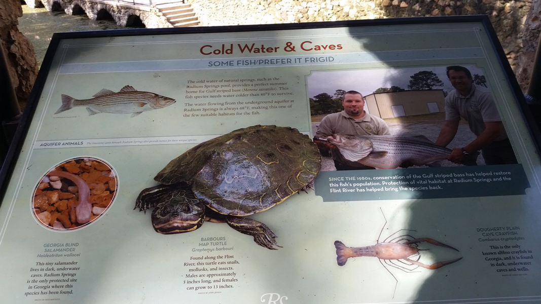 sign about Cold water, caves, fish and turtles