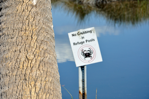 no crabbing sign