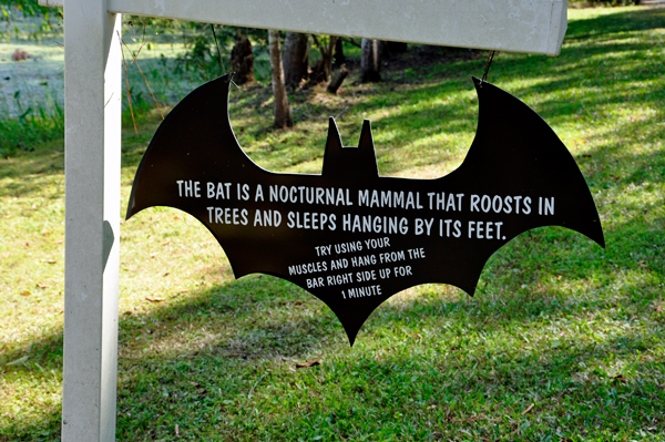 sign about bats
