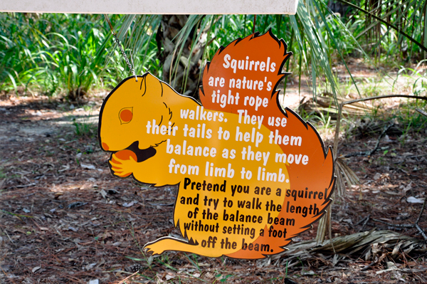sign about squirrels