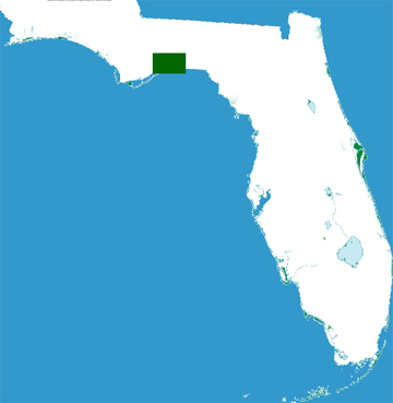 Florida map showing location of St. Marks