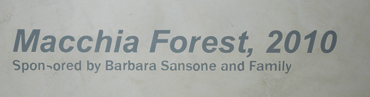 Macchia Forest sign