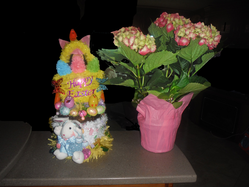 the front of the Easter hat and the plant