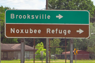 directional signs to Brooksville and Noxubee