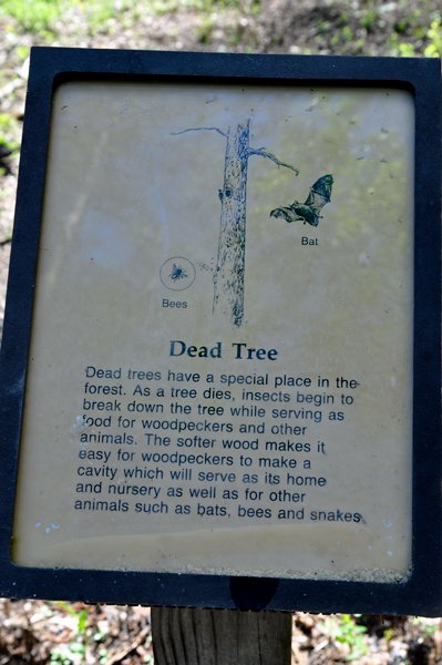 sign about the dead tree