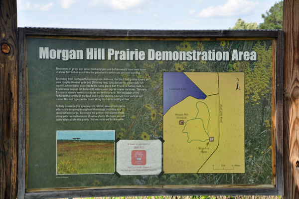 Morgan Hill Prarie sign sign
