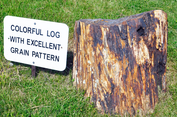 petrified log