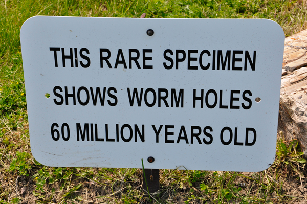 worm holes