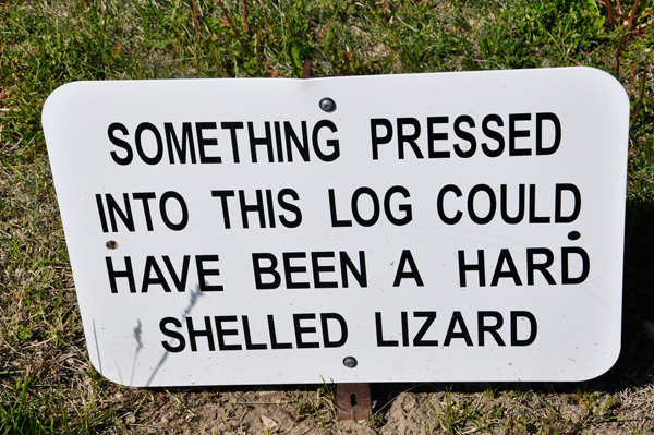 sign about hard shelled lizard