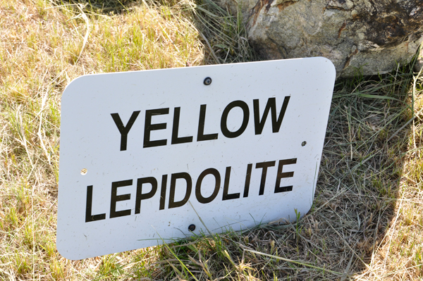 yellow Lepidolite