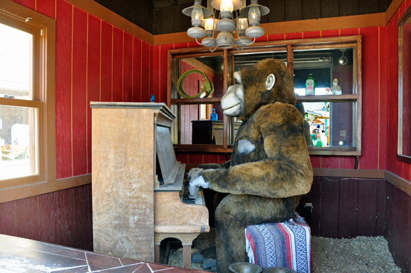 A piano playing monkey