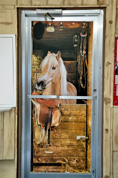 horsie in a window