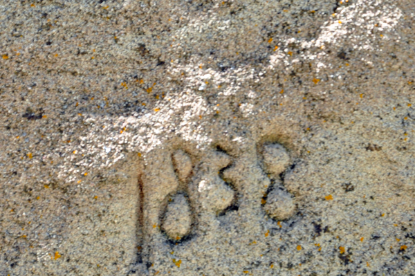 date 1838 in the rock