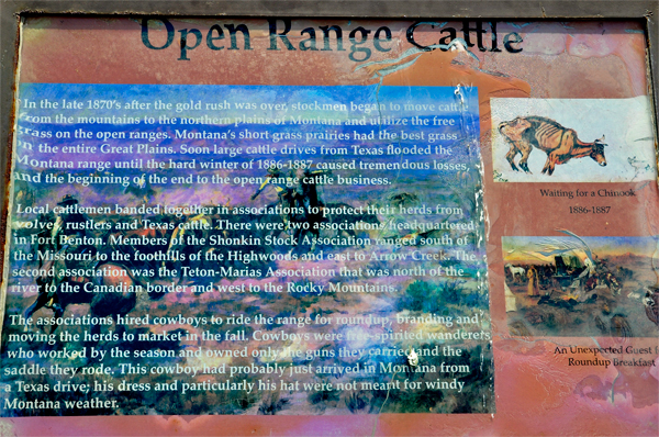 sign about open range cattle