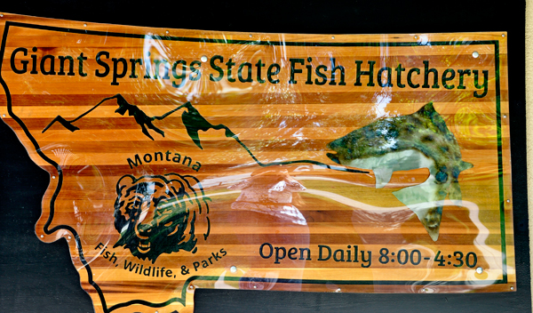 sign: Giant Springs  State Fish Hatchery