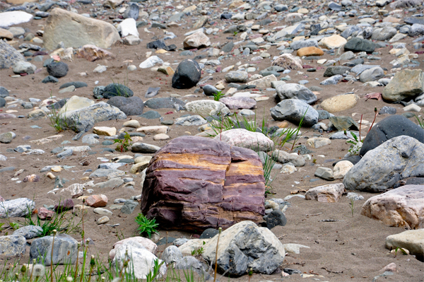one big colorful rock among many small rocks