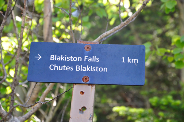 sign to Blakiston Falls