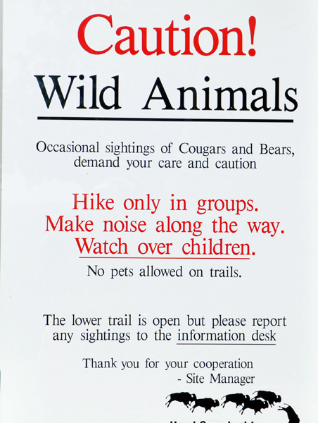 caution about wild animals