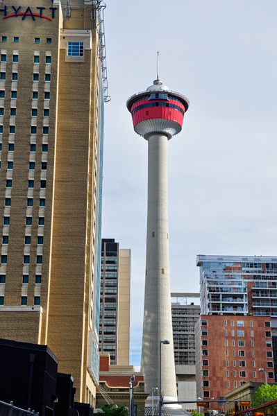 the Calgary Tower