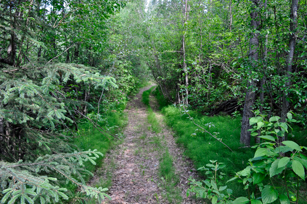the trail to Liard River
