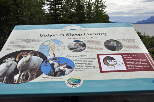 sign: Yukon is Sheep Country