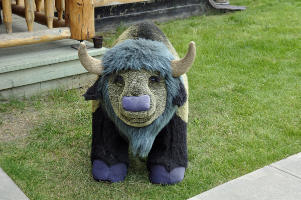 stuffed buffalo