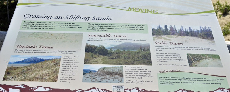 sign: the dunes are moving