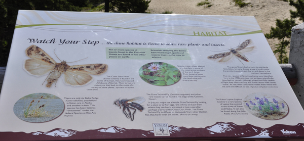 sign about insects and flowers