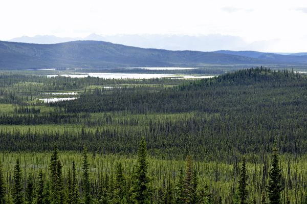 scenery at the Tetlin National Wildlife Refuge Visitor Center