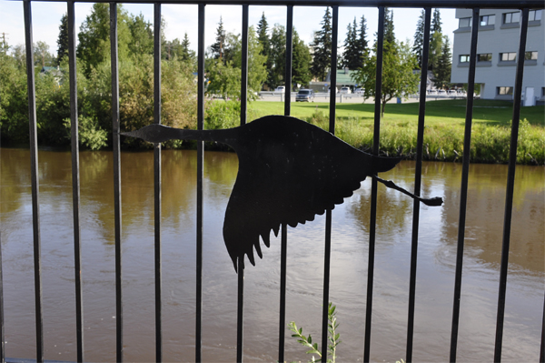 swan on fence by the Chena River