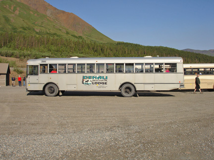 Denali bus to Kantishna